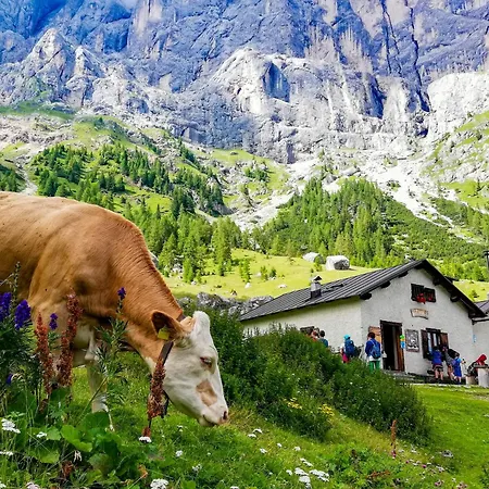 Antico Borgo Palue Apartman
